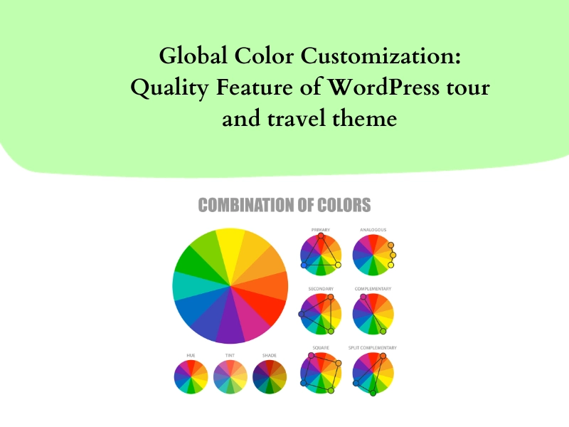 Global Color Customization: Quality Feature of WordPress theme